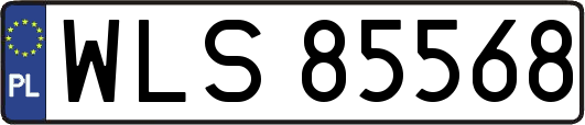 WLS85568