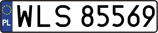 WLS85569