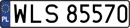 WLS85570