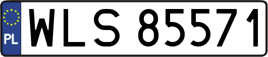 WLS85571
