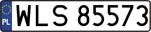 WLS85573