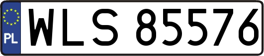 WLS85576