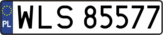 WLS85577