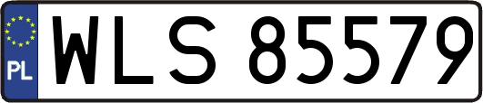 WLS85579