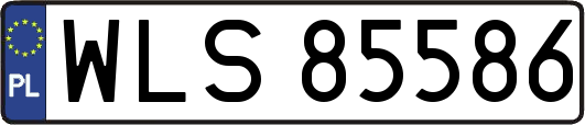 WLS85586