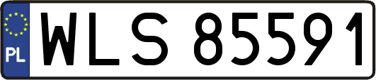 WLS85591