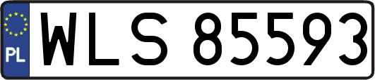WLS85593