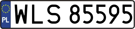 WLS85595