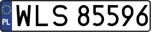 WLS85596