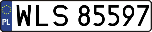WLS85597