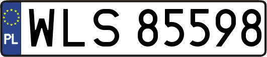 WLS85598