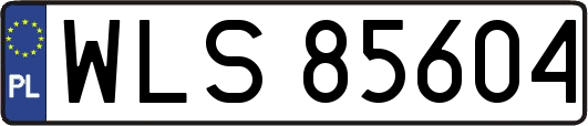 WLS85604
