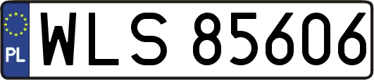 WLS85606