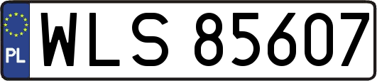 WLS85607