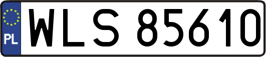 WLS85610