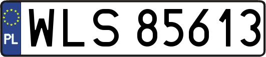 WLS85613