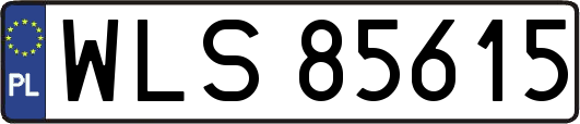 WLS85615