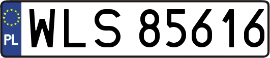 WLS85616