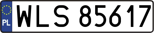 WLS85617