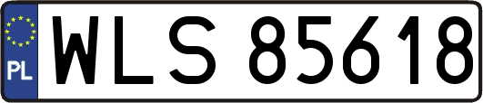 WLS85618