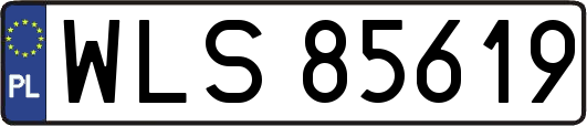WLS85619
