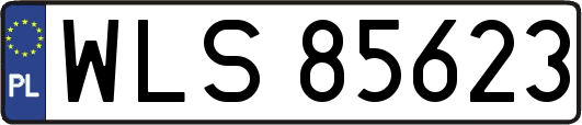WLS85623