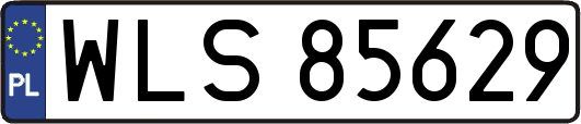 WLS85629