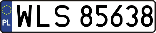 WLS85638