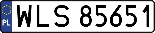 WLS85651