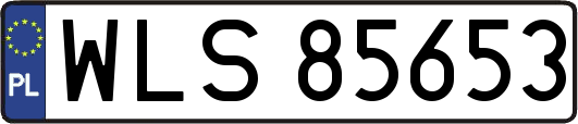 WLS85653