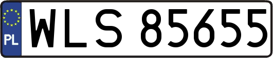 WLS85655