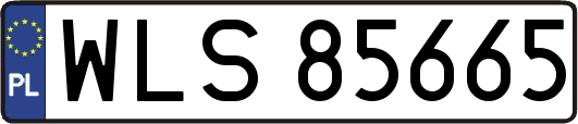 WLS85665
