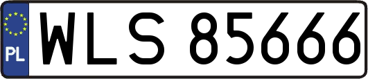 WLS85666