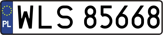 WLS85668
