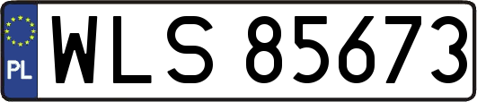 WLS85673