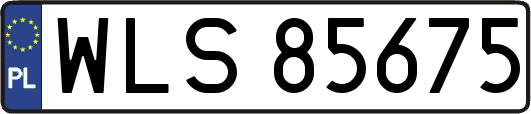 WLS85675