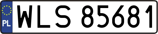 WLS85681