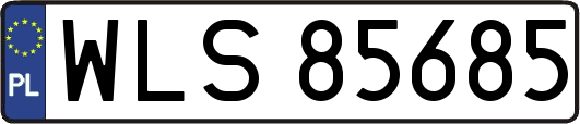 WLS85685