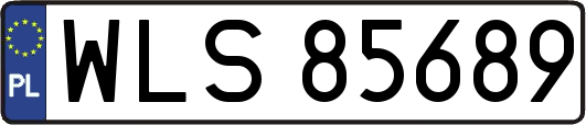 WLS85689
