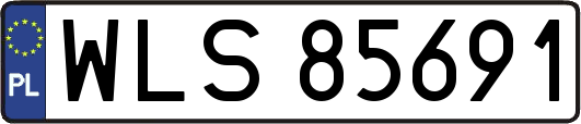 WLS85691