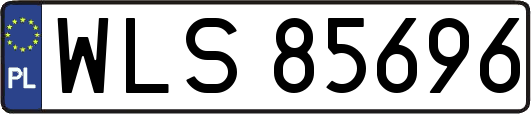 WLS85696