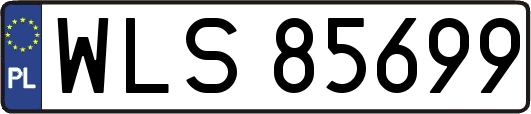 WLS85699