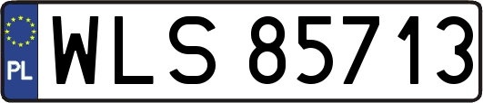 WLS85713