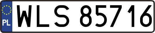 WLS85716