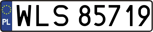 WLS85719