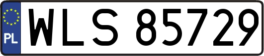 WLS85729