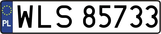 WLS85733