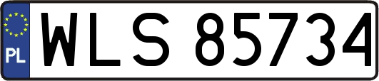 WLS85734
