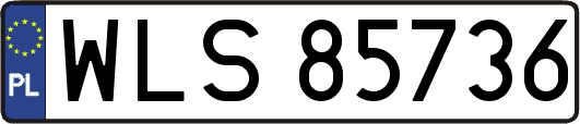WLS85736
