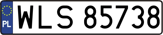 WLS85738